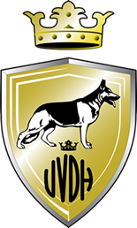 VVDH Logo